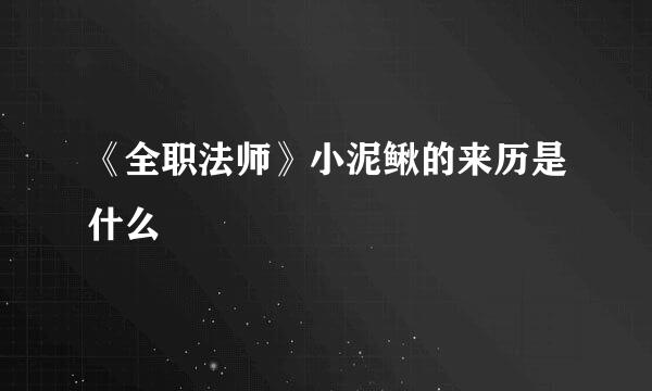 《全职法师》小泥鳅的来历是什么