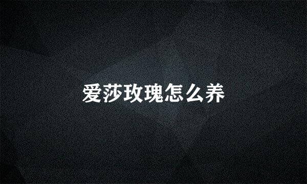 爱莎玫瑰怎么养