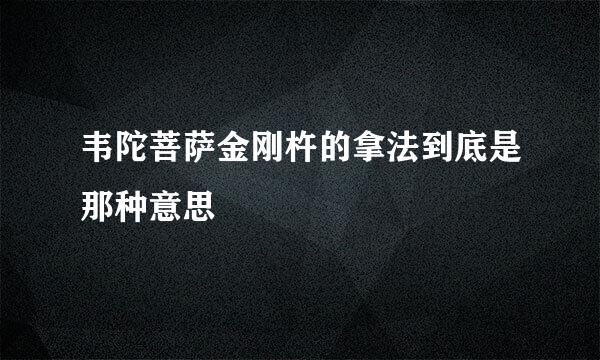 韦陀菩萨金刚杵的拿法到底是那种意思