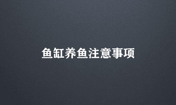 鱼缸养鱼注意事项