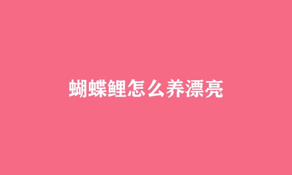 蝴蝶鲤怎么养漂亮