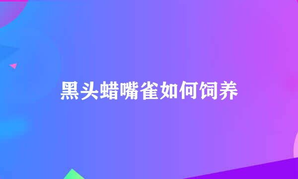 黑头蜡嘴雀如何饲养