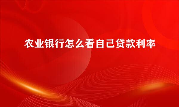 农业银行怎么看自己贷款利率
