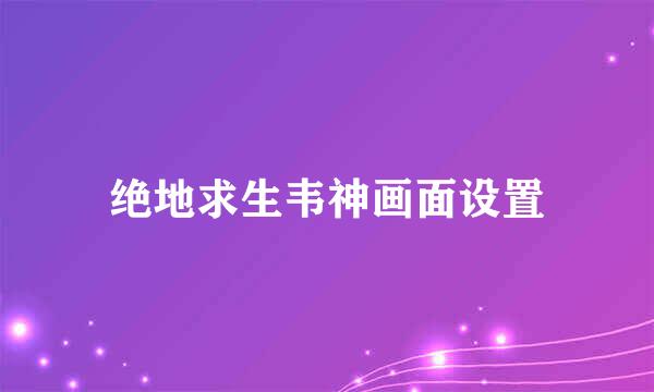 绝地求生韦神画面设置