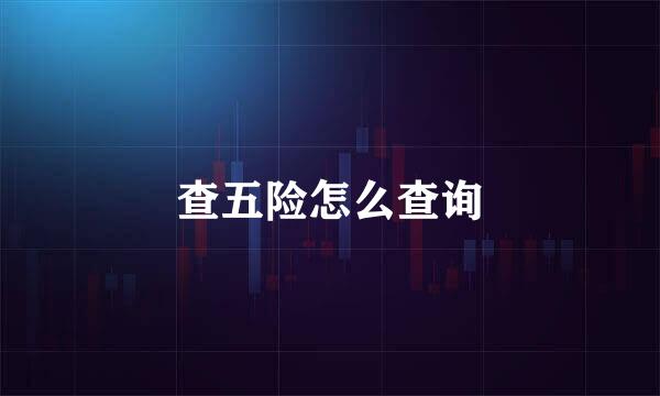 查五险怎么查询
