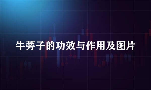 牛蒡子的功效与作用及图片