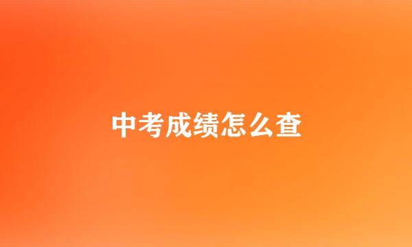中考成绩怎么查