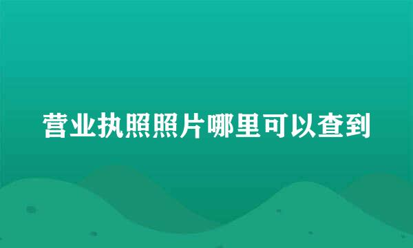 营业执照照片哪里可以查到