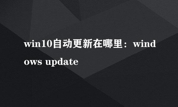 win10自动更新在哪里：windows update