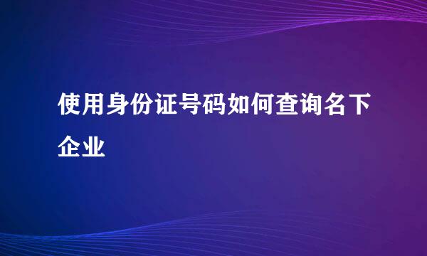 使用身份证号码如何查询名下企业