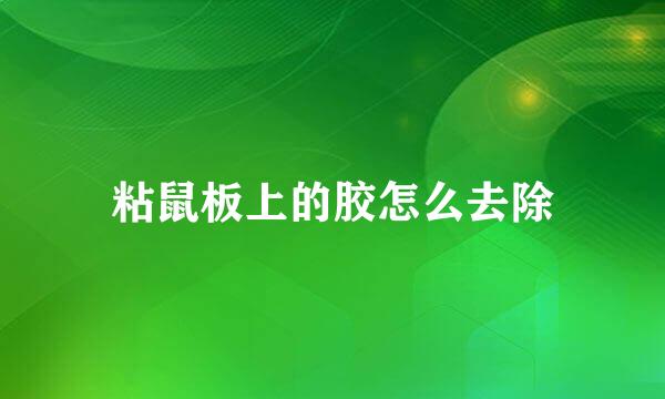 粘鼠板上的胶怎么去除