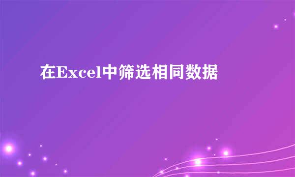 在Excel中筛选相同数据