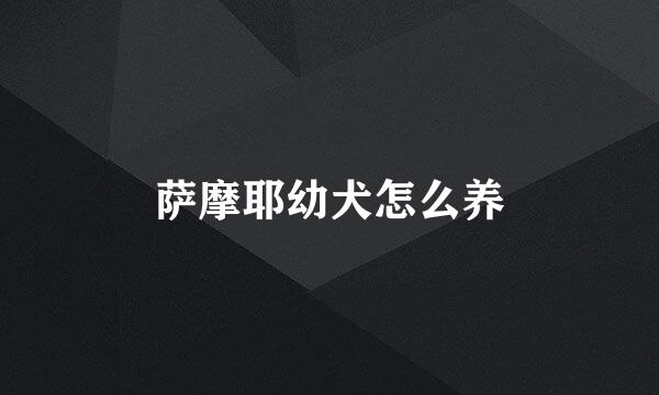 萨摩耶幼犬怎么养