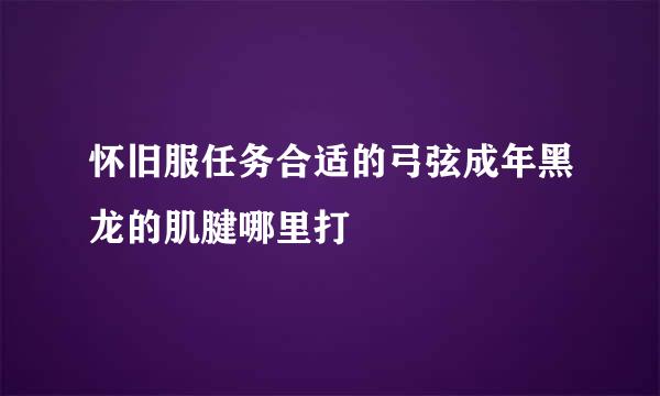 怀旧服任务合适的弓弦成年黑龙的肌腱哪里打
