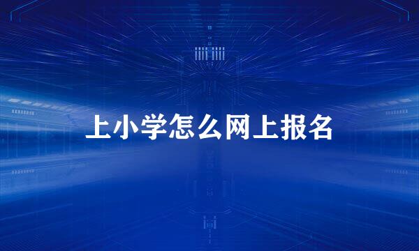 上小学怎么网上报名