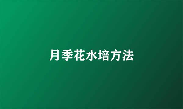 月季花水培方法