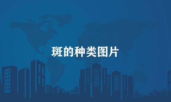 斑的种类图片