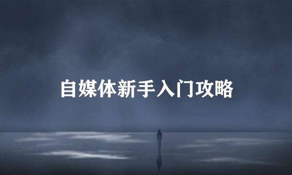 自媒体新手入门攻略