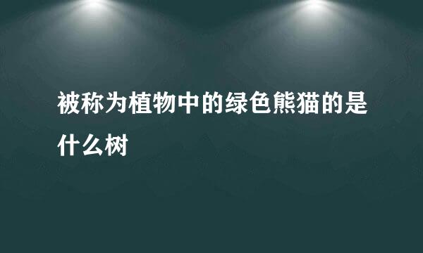 被称为植物中的绿色熊猫的是什么树
