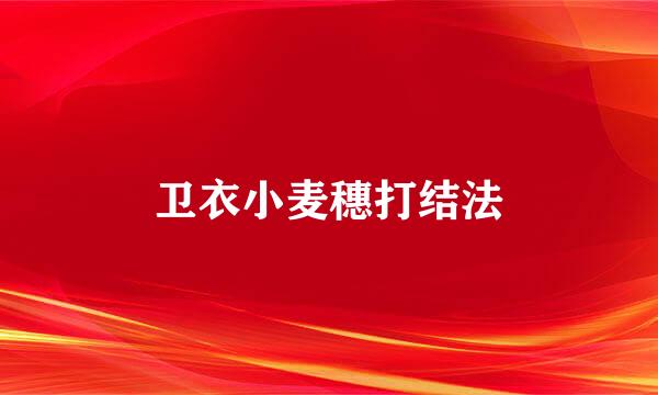 卫衣小麦穗打结法