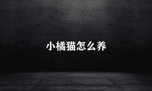 小橘猫怎么养