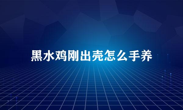 黑水鸡刚出壳怎么手养