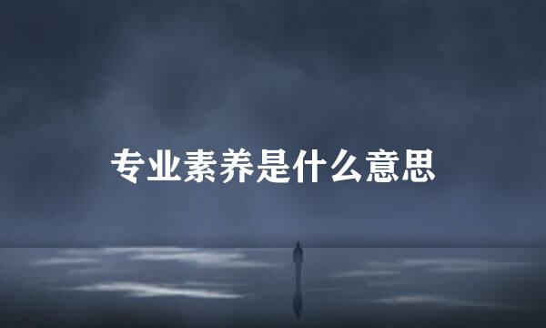 专业素养是什么意思