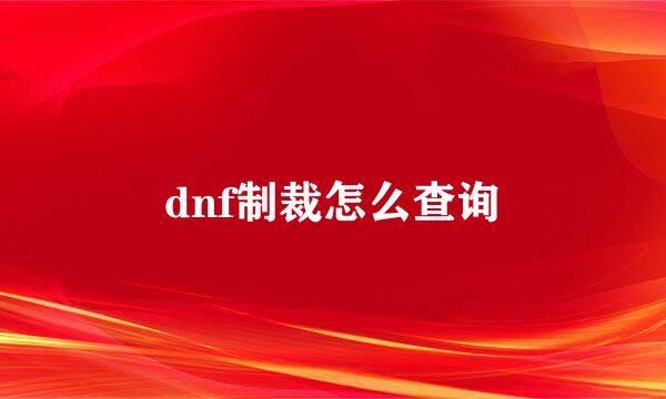 dnf制裁怎么查询