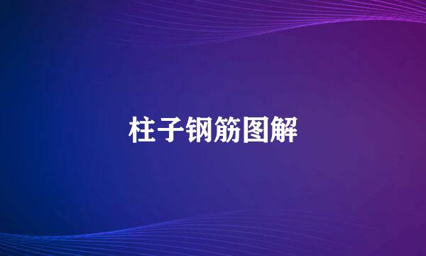 柱子钢筋图解