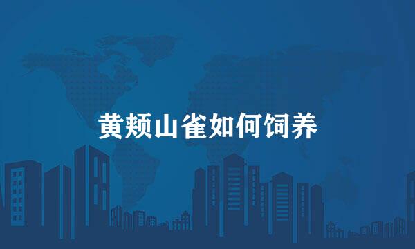 黄颊山雀如何饲养