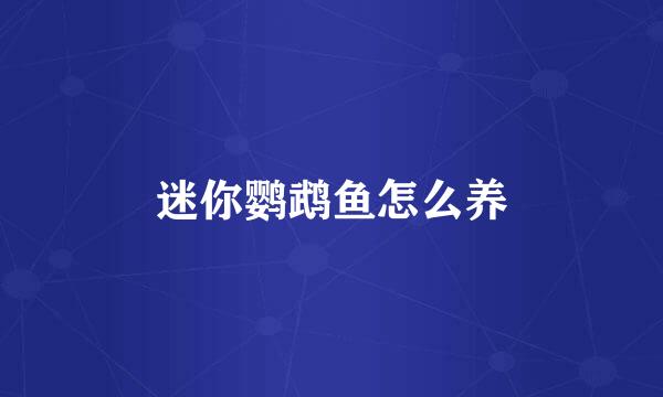 迷你鹦鹉鱼怎么养