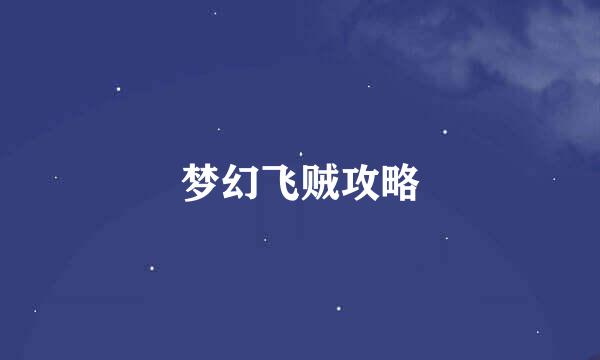 梦幻飞贼攻略