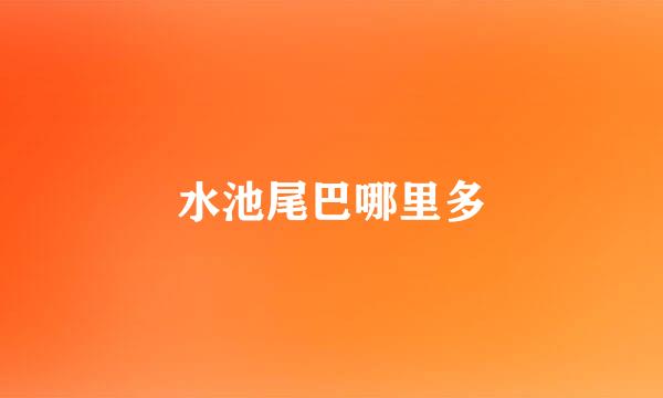 水池尾巴哪里多