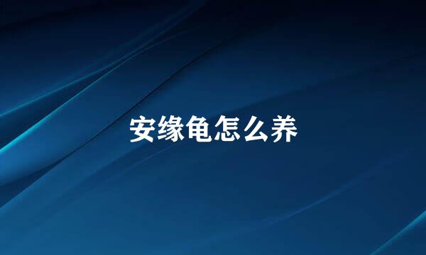 安缘龟怎么养