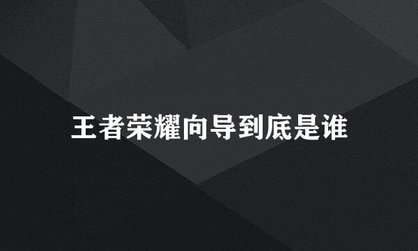 王者荣耀向导到底是谁