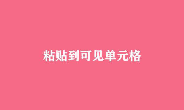粘贴到可见单元格