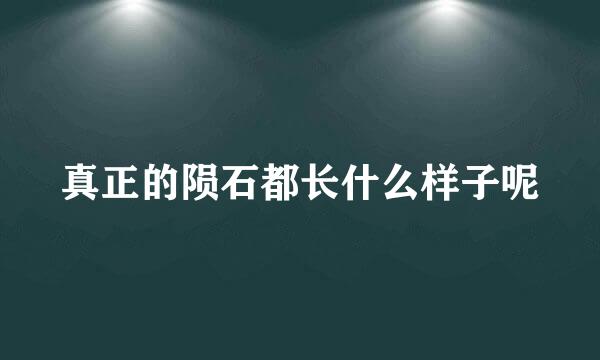 真正的陨石都长什么样子呢