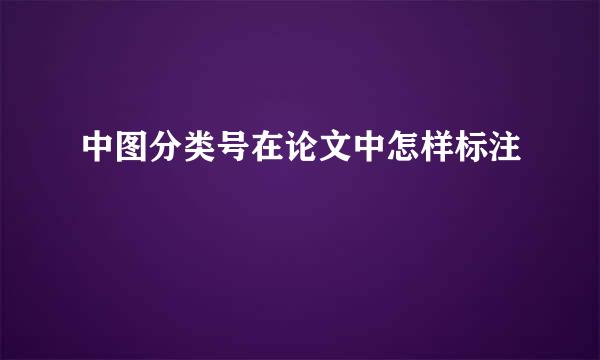 中图分类号在论文中怎样标注