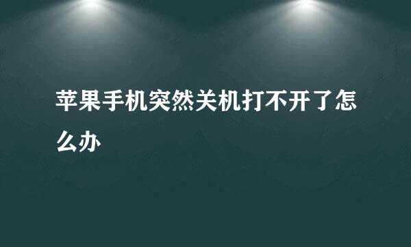 苹果手机突然关机打不开了怎么办