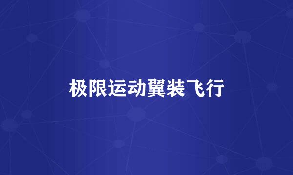 极限运动翼装飞行