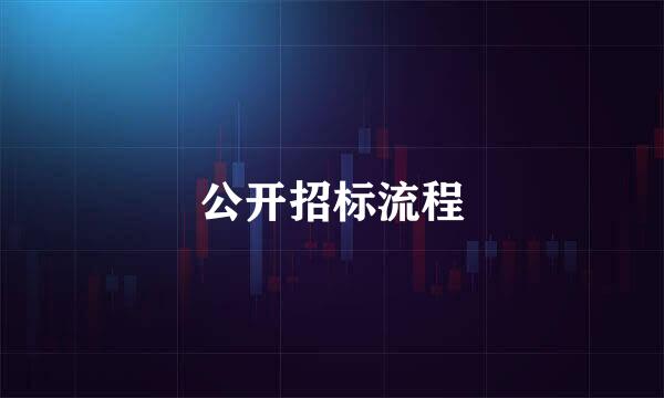 公开招标流程