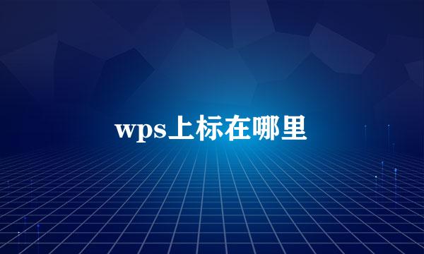 wps上标在哪里