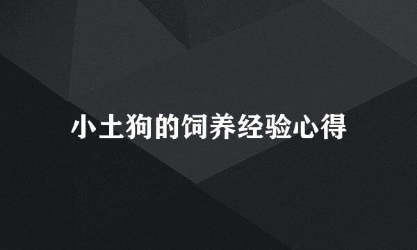 小土狗的饲养经验心得