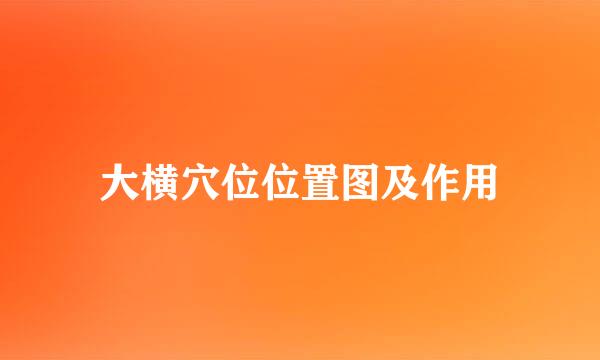 大横穴位位置图及作用