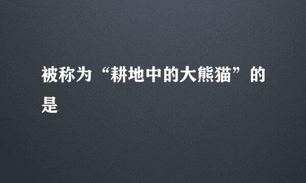 被称为“耕地中的大熊猫”的是