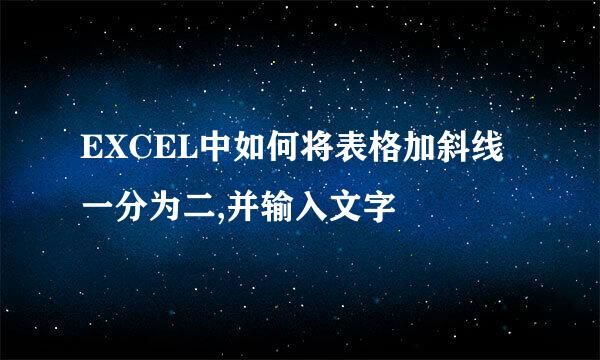 EXCEL中如何将表格加斜线一分为二,并输入文字