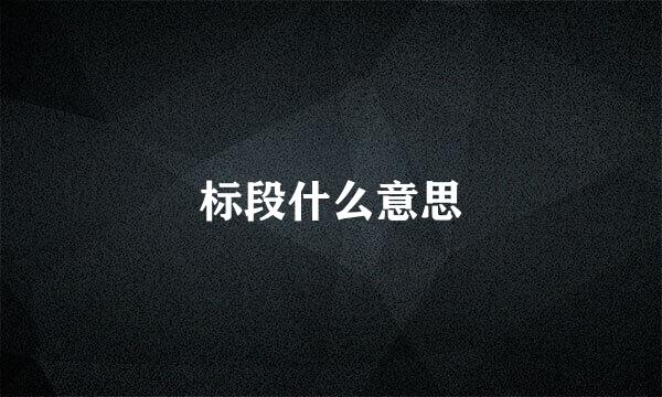标段什么意思