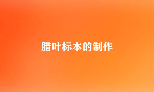 腊叶标本的制作