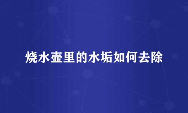 烧水壶里的水垢如何去除