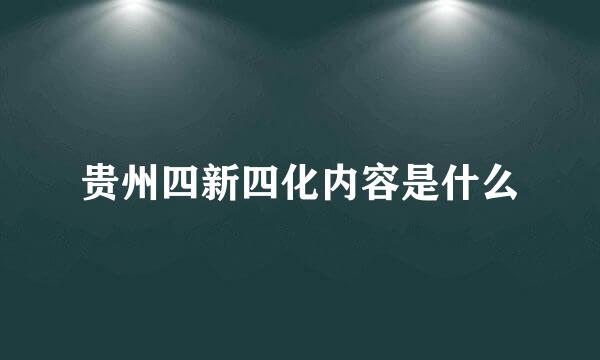 贵州四新四化内容是什么